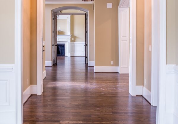 palmettophoto1 real estate 1689967 1920